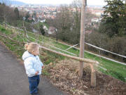 Umges�gter Baum an der Eichhalde am 31.12.2006 - Blick nach S�dwesten