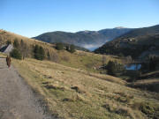 Blick nach Osten �ber den Schniederlihof (links) und das neblige St.Wilhelmer Tal zum Feldberg am 26.12.2006
