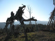 Blick �bers Kamel auf dem Kamelberg gen Schauinsland am 22.12.2006
