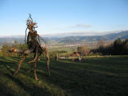 Blick nach Norden vom Pfeiferberg nach Kirchzarten am 21.12.2006