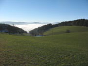 Blick nach S�den �ber den Fallerhof ins neblige Dreisamtal am 26.12.2006