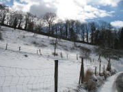 Blick von der Sonnhalde nach S�dosten am 1.3.2006