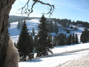 Blick nach S�den zur Grafenmatt - rechts die L�rracher H�tte am 4.2.2006