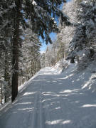 Blick auf dem Hochkopfweg zurück nach Nordwesten zum Feldbergturm am 13.2.2006