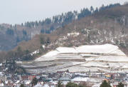 Der Schloßberg mit Greiffenegg-Schlößchen, Kanonenplatz und Bismarck-Säule darüber