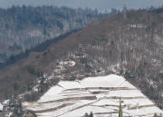 Freiburger Schlo�berg: Greiffenegg - Kanonenplatz - Bismarcks�ule - Schlo�bergturm (von links)