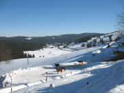 Blick vorbei am Schrofen nach Osten zur Rotmeerspur am 4.2.2006