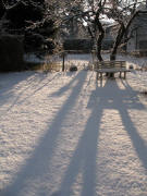 Schatten im Schnee am 12.2.2006 