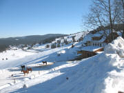 Blick nach Osten �ber Schrofen-Hof und Rotmeerloipe auf Altglash�tten am 4.2.2006