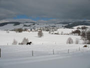 Blick vom Schafhof nach Norden �ber den den Schweighof zum Schmittenbach am 11.2.2006