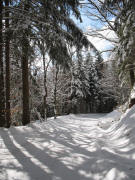 Str��chen von St.Peter ins Ibental zwischen Schafhof und Freienhof am 11.2.2006