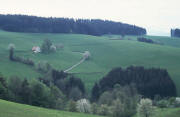 Blick nach S�den �bers Oberibental zum Dieschenh�usle.