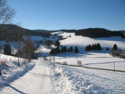 Blick vom Urishof nach Westen ins Eckbach am 9.1.2006