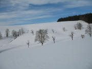 Blick nach Norden �ber die Aumatte zur Ibenbachquelle oben rechts am 29.1.2006