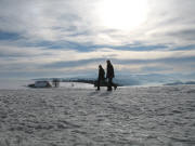 Blick von Wegekreuz 1016,40 m nach Osten �bers Kapfenh�usle am 29.1.2006