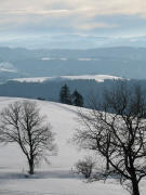 Blick nach S�den bei der Ibenbachquelle am 29.1.2006