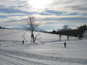Blick nach S�den �ber den jungen Ibentalbach in der Aumatte am 29.1.2006