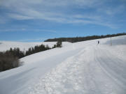 Blick nach Norden �ber die Loipe kurz nach dem Borkwegeck am 29.1.2006