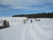 Blick nach Norden �ber die Aumatte zur Ibenbachquelle am 29.1.2006