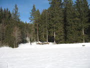 Blick vom zugefrorenen Mathisleweiher aus nach Nordwesten zur Loipe am 1.2.2006