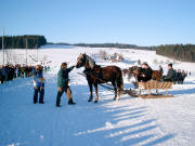Blick nach Nordosten - im Hintergrund der Theehof