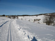 Blick nach Norden auf der Langlaufspur von der Halde zu Schauinsland-Bergstation am 10.1.2006