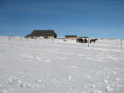 Blick nach Norden zum Haldenmeierhof am 10.1.2006