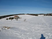 Blick nach Nordwesten zum Hochebenehof auf dem Schauinsland am 10.1.2006