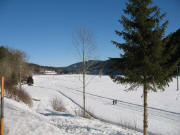 Zwischen Bartleshof und B�lleh�usle (links): Blick nach Nordosten �ber die Seebachtal-Loipe in Richtung Titisee