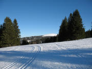 Blick vom Gasthaus St�benwasen nach Osten zum Feldberg am 30.1.2006