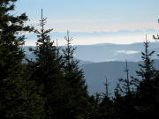 Blick nach S�dosten vom St�benwasen zu den Alpen am 30.1.2006