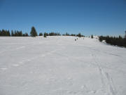 Blick vom St�benwasen-Gipfel (1386 m) nach Osten zum Feldberg