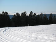 Blick �ber die Notschreiloipe nach S�den �bers neblige Wiesental zu den Alpen am 30.1.2006