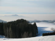 Blick vom Thurner nach Westen �ber den Ro�kopf und Rhein-Nebel zu den Vogesen am 7.1.2005