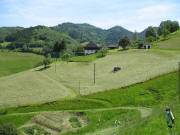 Blick nach Osten zum Brandenhof am 9.6.2006 