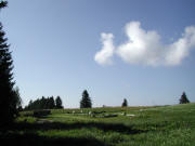 Feldberggarten hinter dem Haus der Natur