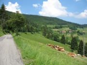 Blick nach Nordwesten auf K�sern am 13.6.2006