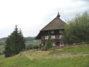 Blick nach Westen zum W�lki-Hof am 28.7.2006
