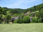 Blick nach Nordwesten zum Laitschenbach am 9.6.2006