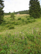 Blick nach westen vom Pr�gbauch hoch zum Gasthaus Pr�ger B�den