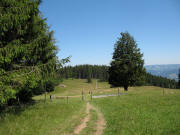 Blick nach Norden �ber den Pfad �ber den Rappenecksattel zum Rappeneck (1010 m) - H�tte rechts unten
