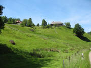 Blick nach Westen hoch zu s'Ringwegers am 9.6.2006