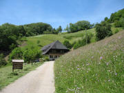 Blick nach S�dwesten zum Salzbauernhof am 9.6.2006