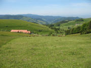 Blick nach S�den �ber Schindelmatt �ber Stohren ins M�nstertal am 9.6.2006