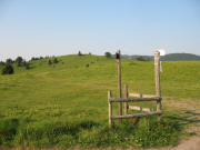 Blick nach S�den am S�geneck auf der Stuhlebene am 13.6.2006