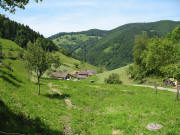 Blick nach Nordwesten vom Bergm�nnlehof runter zum Stollnachhof am 9.6.2006