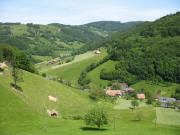 Blick nach Norden vom Dobelhof �ber Untere Gasse M�nstertal am 9.6.2006