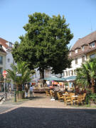Blick nach Westen auf Brunnen und Linde von Unterlinden am 28.7.2006
