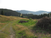 Blick von Wacht (973 m) nach Nordosten �ber den Bodenwald am 28.7.2006