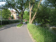 Blick nach Westen �ber den Dreisamuferweg am 15.6.2006 - links das Bertholdgymnasium